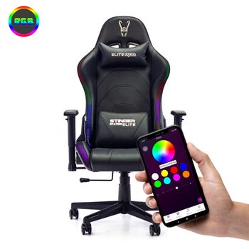 Silla Gaming - SKADI, Silla gamer con Luces LED RGB, Reclinable, Cojines,  Pistón clase 4, Silla gamer, escritorio VALK, Reposabrazos2D (regulable en  altura y anchura), 120 kg, Negro