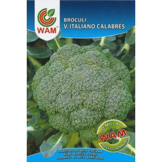 Semillas De Brécol/brócoli Verde Italiano Calabrés Wam - Sobre 8 Gr