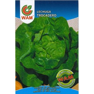 Semillas De Lechuga Trocadero Wam - Sobre 6 Gr.