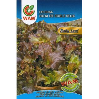 Wam Semillas De Lechuga Hoja Roble Roja (baby Leaf), 6 Gr