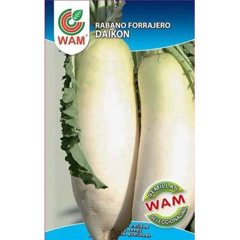 Semillas Wam De Rábano Forrajero Daikon - Caja De 250 Gr