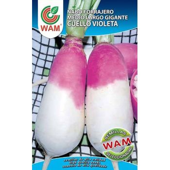 Semillas Wam De Nabo Forrajero Medio Largo Gigante De Cuello Violeta - Caja De 250 Gr