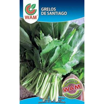 Semillas De Grelos De Santiago Wam - Sobre 100 Gr