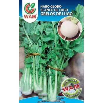 Semillas Premium De Grelos De Lugo Wam - 100 Gr