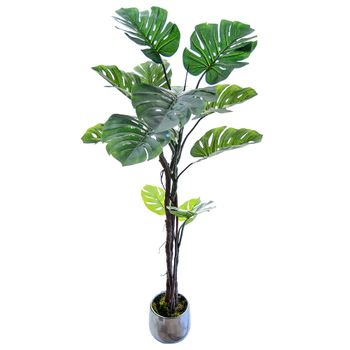 Monstera Artificial 180 Cm