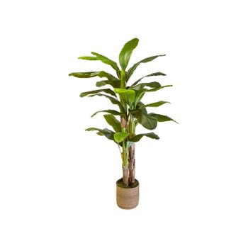 Planta De Bambú Artificial De Pe, Cemento Ø18x150 Cm - Outsunny. Verde con  Ofertas en Carrefour