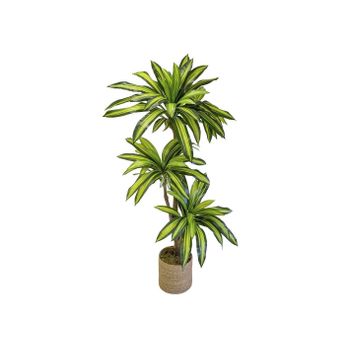 Dracena Artificial 170 cm