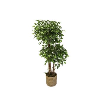 Ficus Artificial 2 Copas 150 Cm