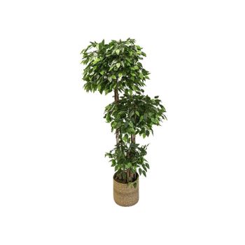 Ficus Artificial 3 Copas 175 Cm