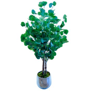 Eucalipto Color Verde 65cm con Ofertas en Carrefour