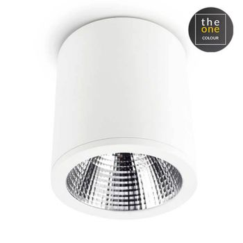 Leds·c4 Plafon Exit 25.9w 3000k Cri 90 Blanco Ip23 1728lm