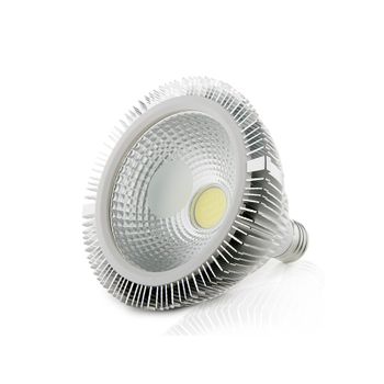 Bombilla Led E27 15w 1.350lm 6000ºk Par38 40.000h [jn-p15wcob-cw]