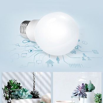 Bombilla Led Osram A E27 Opal 8,8w 806lm 2700k Ip20 200 ° [lv-4058075428324]  con Ofertas en Carrefour