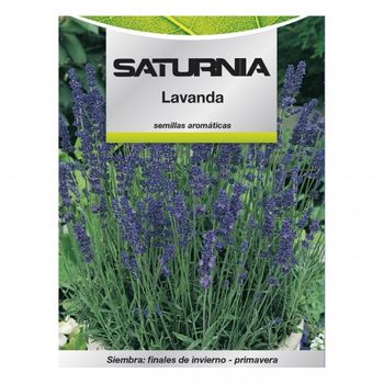 Semilla Lavanda (ecológica) - Germigarden