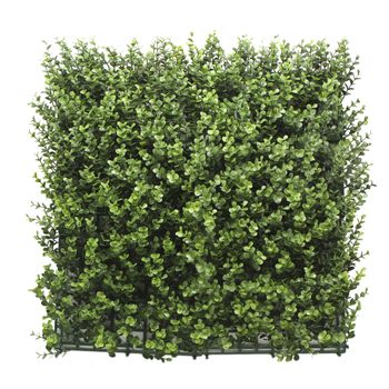 Jardín Vertical Buxus | Pack 4 Piezas 50x50cm| Bonerva