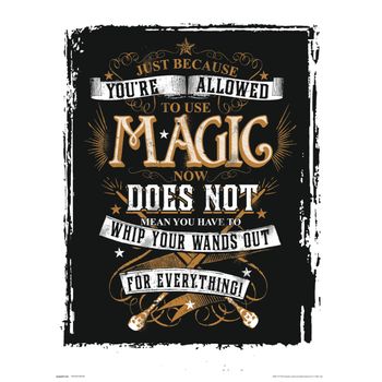 Print 30x40 Cm Harry Potter Magic