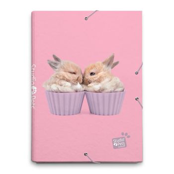 Carpeta Solapas Studio Pets Rabbits 2019