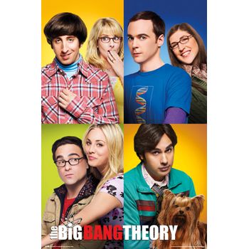 Poster The Big Bang Theory Mosaico