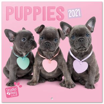 Calendario 2021 30x30 Studio Pets Puppies