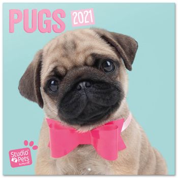 Calendario 2021 30x30 Studio Pets Pugs
