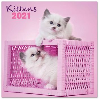 Calendario 2021 30x30 Chantrenne Cat
