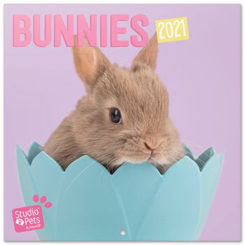 Calendario 2021 30x30 Studio Pets Bunny
