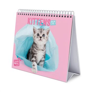 Calendario De Escritorio Deluxe 2021 Studio Pets Cats