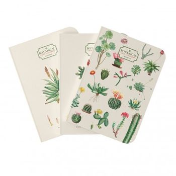 Pack 3 Cuadernos A5 Botanical Cacti Kokonote