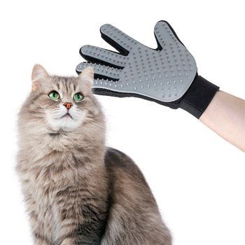 Guantes Quita Pelos Mascota 2-in-1 Inoovagoods Talla Unica Con Velcro Y Silicona