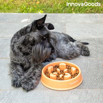 Comedero De Alimentación Lenta Para Mascotas Slowfi Innovagoods