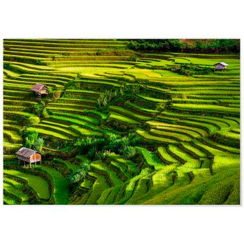 Panorama® Póster Arrozales Bali 100 X 70 Cm | Láminas Decorativas Pared | Impreso En Póster De Alta Calidad De 250gr | Cuadros Paisajes | Póster Naturaleza | Cuadros Decoración Salón Y Dormitorio