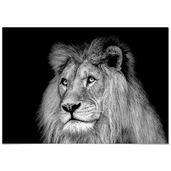 Panorama® Poster León Blanco Y Negro 50x35cm | Impreso En Papel De Alta Calidad De 250gr | Poster De Animales | Cuadros Decorativos De Animales | Cuadros Salón Modernos | Cuadros Dormitorio