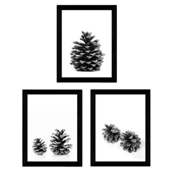 Set De Tres Láminas De Piñas De Árbol Pino En B & N Con Poster Papel Y Ti