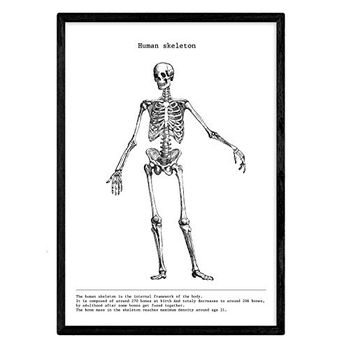 Posters De Anatomía En Blanco Y Negro Con Imágenes Del Cuerpo Humano Láminas Con Esqueleto A4 Con Marco - Nacnic