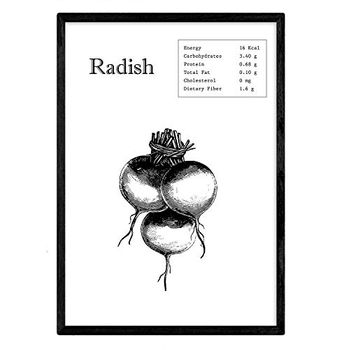 Poster De Radish. Láminas De Frutas Y Verduras En Inglés. Tamaño A4 Con Marco - Nacnic