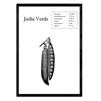 Poster De Judia Verde. Láminas De Frutas Y Verduras. Tamaño A3 Con Marco - Nacnic