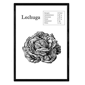 Poster De Lechuga. Láminas De Frutas Y Verduras. Tamaño A4 Con Marco - Nacnic