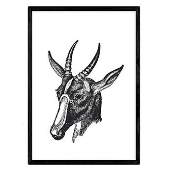 Lámina De Cabra. Posters Con Animales En Blanco Y Negro. Tamaño A4 Con Marco - Nacnic