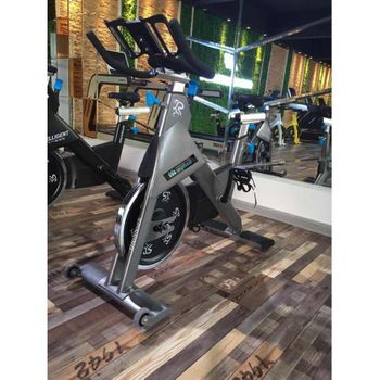 Bicicleta Spinning Estática Indoor Alpine 6000 Volante Inercia 10kg Consola  Gridinlux con Ofertas en Carrefour