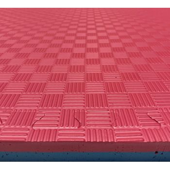 Jowy 50 Piezas (50m² ) Tatami Puzzle Esterilla Goma Espuma, Tatami Suelo  Para Gimnasio Ideal Artes Marciales 1m X 1m X 2,5cm Superficie 5 Líneas  Negro/gris con Ofertas en Carrefour