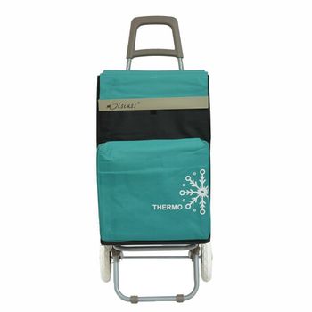 Carro Carrito De Compra Plegable Ligero Con Bolsa Termo 2 Ruedas 100x41x33cm  Color Verde