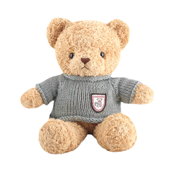 Oso De Peluche Con Jersey. Animal De Peluche Para Niños. Teddy Bear.