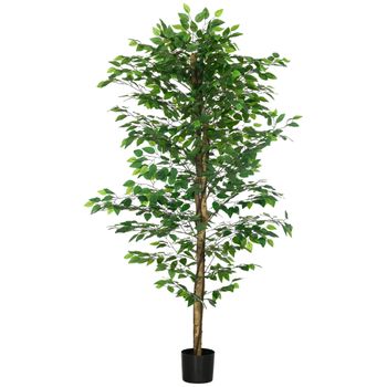 Ficus Artificial Con Maceta De Peva Homcom Ø17,5x180 Cm Verde