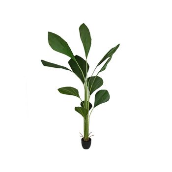 Planta Decorativa Romimex Pvc Licuala 20 X 180 X 20 Cm