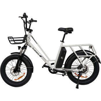 Fat Bike Eléctrica Tauro 250w 36v 10ah (360wh) - Rueda 20" X 3"