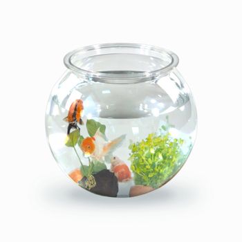 Pecera Pequeña Redonda Mobiclinic Pet Eco 4l Peces Pequeños Fácil Limpieza 20x20x17,5cm Jardín Acuático Nemo