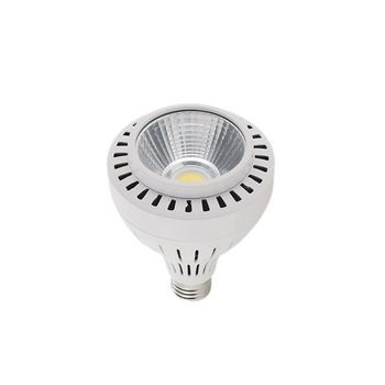 Lámpara Led 30w E27 Par30 3000ºk