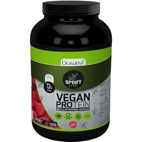 Drasanvi Vegan Protein 600 Gr