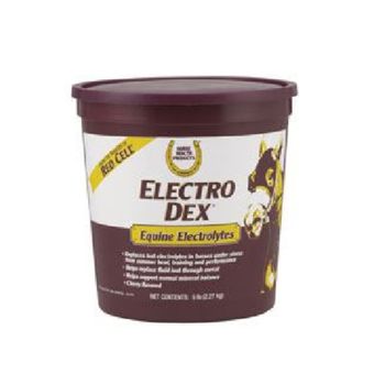 Vetnova Electro Dex 1,13 Kg - Sales Solubles