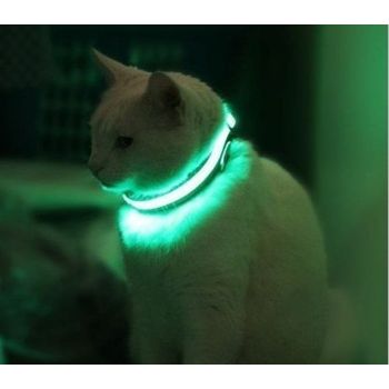 Collar Mascota Amarillo Led S